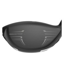 ZX7 MARK 2 driver-9.5 ( x stiff skaft )